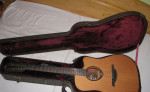 Elektroakustická 12-strunová gitara – fotka 4